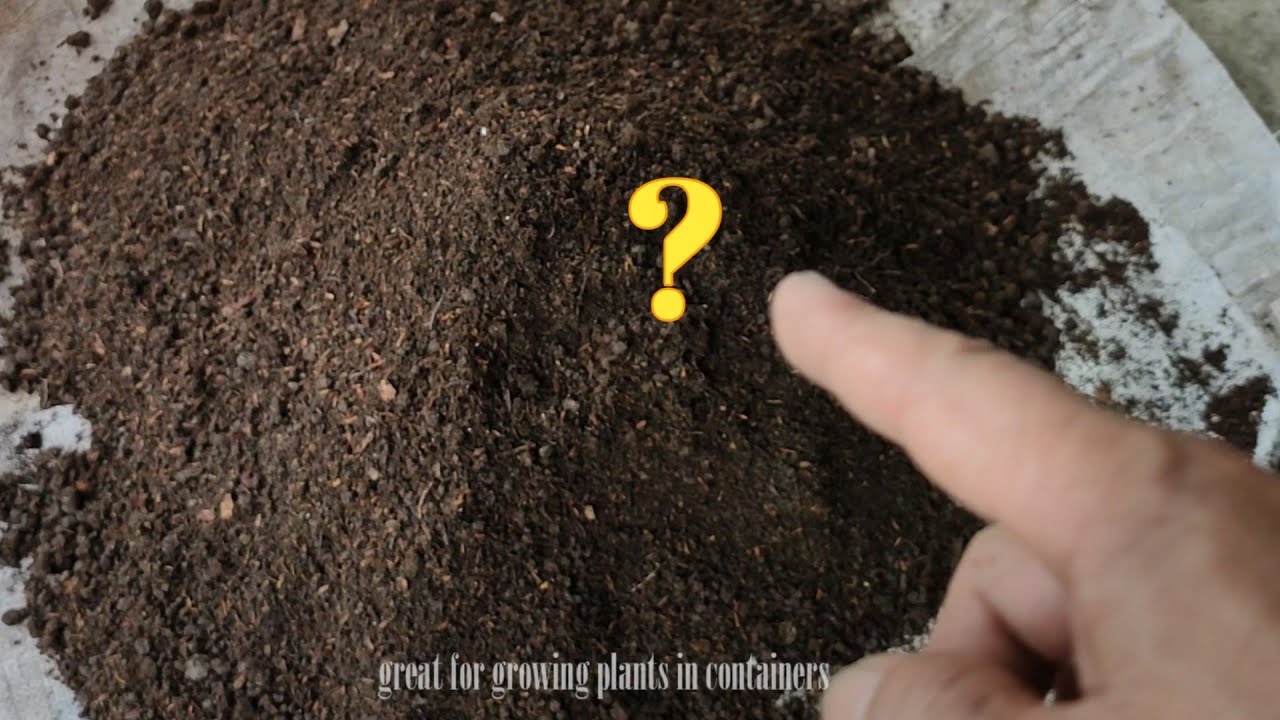 Best Soil Mix | How To Make Soil Mixture/Potting Mix For Plants - YouTube