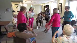 Dance Movement Therapy with Seniors