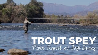 Lower Sac Trout Spey || River Report w/ Josh James