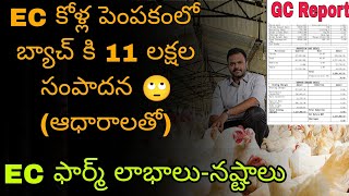 EC బ్రాయిలర్ కోళ్ల పెంపకం లో బ్యాచ్ కి 11 లక్షల ఆదాయం (ఆధారాలతో ) | EC Broiler Farm