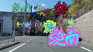 変なおじさんとこの　鶏さん番外編　ゆらり旅愛南　六十一の巻　あいなんの車窓２９　魚神山ー荒樫ー本網代　由良半島の端の端までゆっくり車載