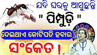 ଆପଣଙ୍କ ଘରକୁ ପିମ୍ପୁଡ଼ି ଆସୁଛି କି ? ପିମ୍ପୁଡ଼ି ଦେଇଥାଏ କୋଟିପତି ହେବାର ସଂକେତ।