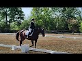 jaguar rosette wg training test a hunt club farms ht 7 27 24