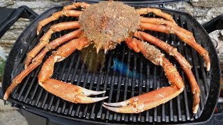 Giant SPIDER CRAB Catch and Cook