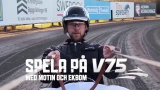 Spela på V75 - Med Motin och Ekbom