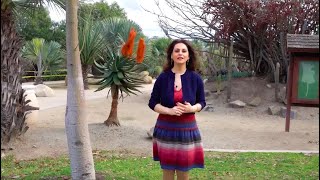 كل ما تود معرفته عن أريزونا/ إنتاج قناة العراقية