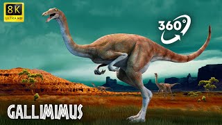 VR Jurassic Encyclopedia #22 - Gallimimus dinosaur facts 360 Education