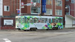 函館市電710形 函館駅前停留場到着 Hakodate City Tram 710 series tramcar