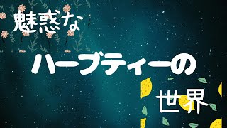 ハーブティーの種類と効能🌿