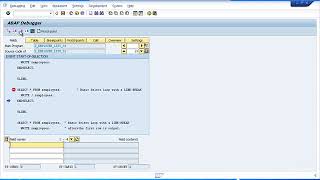 SAP ABAP Programming For Beginners - Online Training : Debugging Your Programs – Part 2
