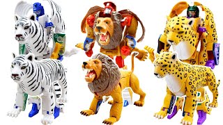 動物變形機器人玩具 animal robot toys 獅子老虎獵豹