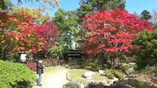 中島公園の紅葉