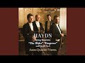 String Quartet No. 32 in C Major, Op. 20 No. 2, Hob. III: 32: II. Capriccio. Adagio