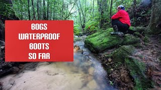 The Bogs Waterproof Boots So Far