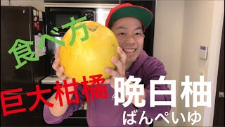 ばんぺいゆの食べ方！カット方法