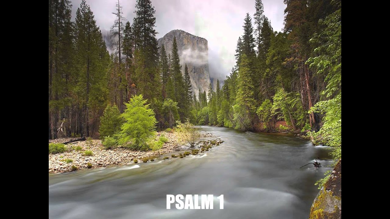 Psalm 1 Youtube