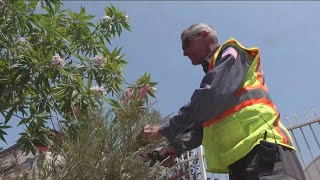 City of La Mesa recognized as "age friendly employer"