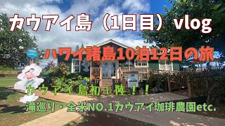 【カウアイ島1日目】2023年11月/カウアイ島初上陸！/滝巡り/カウアイコーヒー農園etc./夫婦2人旅