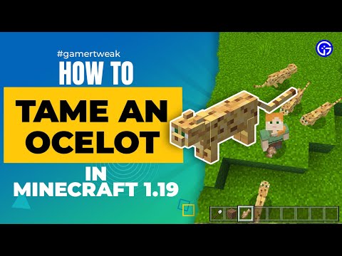 How to Tame an Ocelot in Minecraft