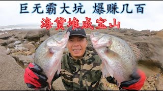 【小俞赶海】徒手盘巨无霸大坑，全是值钱货，超大鲈鱼，螃蟹各种海货直接爆桶