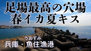 【釣り場動画#122】兵庫で春イカ夏キス秋イカ冬チヌ狙うなら超穴場の魚住漁港がおススメです