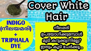 മുടി ഡൈ ചെയ്യാം കെമിക്കൽ ഇല്ലാതെ l How to Dye Hair without Chemical at Home l Indigo + Triphala Dye