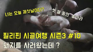 (Eng sub)필리핀 시골여행 시즌3 #10.돼지사러왔는데?ㅣ공사11일차ㅣHAYUFEEL is traveling to remote areas in leyte,Philippines