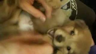 Tuck bites himself