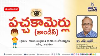 Jaundice in Telugu | పచ్చ కామెర్లు - రకాలు, కారణాలు, లక్షణాలు, సమస్యలు, చికిత్స \u0026 నివారణ