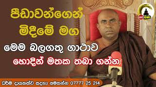 Lenwa Mangala Thero l Dharmadakshina l 2024 07 30