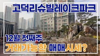 12월초 주간브리핑) 고덕리슈빌레이크파크 \