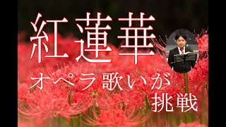 ”紅蓮華”　譜読み２時間で挑戦　すると・・・・（アニメ『鬼滅の刃』）ピアノ伴奏🎵