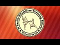 போர்ச் சிலம்பம் _ சிலம்ப வீச்சு 1 war silambam _silambam veechu 1 reslin silambam