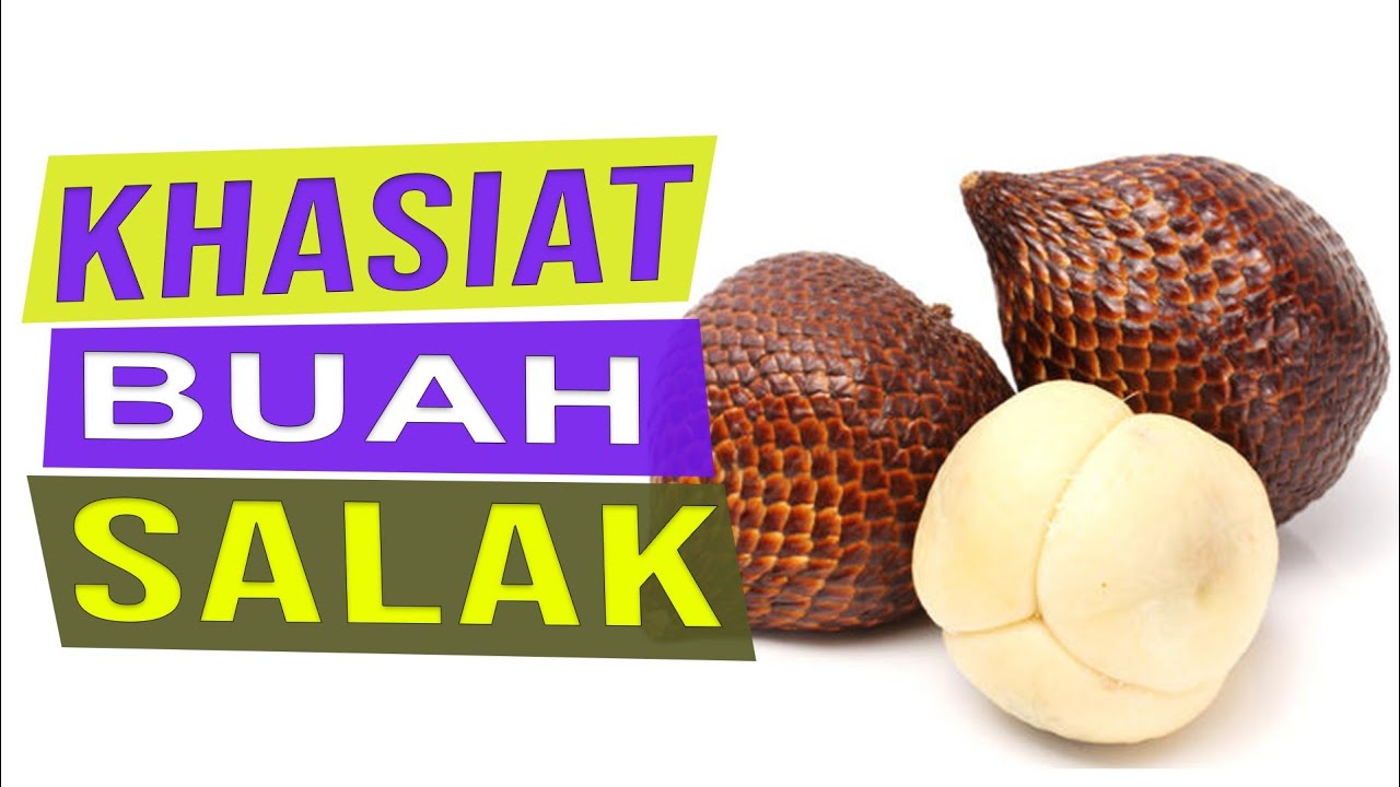 Manfaat Buah Salak Untuk Kesehatan Tubuh - YouTube