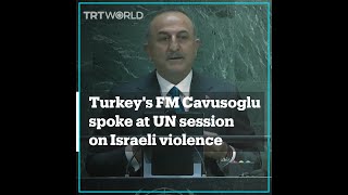 Turkey's FM Cavusoglu reacts to anti-Semitism allegations at UN session