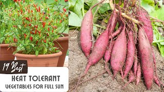 19 Best Heat Tolerant Vegetables for Full Sun | Warm Season Vegetables