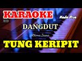 TUNG KERIPIT - Rhoma Irama - Nada Pria [ KARAOKE/LIRIK ]