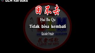 Hui Bu Qu - 回不去 - Karaoke - Female - Terjemahan - Pinyin - Lyrics - Lirik