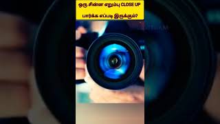 ஒரு சின்ன எறும்பு CLOSE UP பார்க்க எப்படி இருக்கும்?