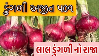 ડુંગળી અજીત 501 #onion ajeet 501 #લાલ ડુંગળી #લાલ કાંદા #red onion