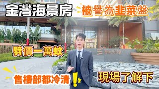 【萬科觀海200里】珠海金灣海景豪宅丨如今劈價一萬跌下神壇 被譽為“韭菜盤”丨超長海岸線遙望橫琴｜1個半小時車程直到香港機場，15分鐘到華發商都 #大灣區#珠海