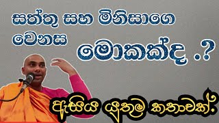 ඔබ ඇත්තටම මනසින් උසස්ද.? ||  මිනිසාගෙ අපි නොදුටු පැත්ත.