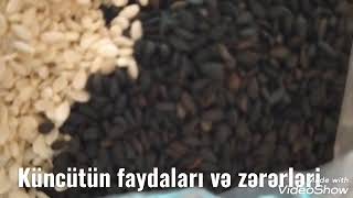 Küncütün faydaları və zərərləri.Küncüt haqqında.Susam hakkında.About sesame seeds.О семенах кунжута.