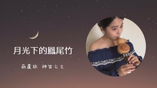 《月光下的鳳尾竹》演奏：神笛公主 吳佳蓁 