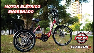 triciclo de carga en elektra