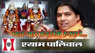 म्हारा वाडा में हरियो रुखड़ो : Mara Vada Mai Hariyo Rukhado | Shyam Paliwal | Bayosa Mata Jiwana 2017