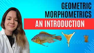 Geometric Morphometrics: An Introduction