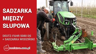 Ciągnik Deutz-Fahr 5080 DS + sadzarka międzysłupowa Wodziński  podczas sadzenia drzewek jabłoni