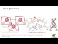 chemical bonds ionic covalent and hydrogen