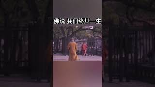 人生本无常 迷茫很正常 心存感恩和善念 当下能做什么就去做 不好高骛远 方向都会在干的路上慢慢明朗。#人生感悟 #禅悟人生